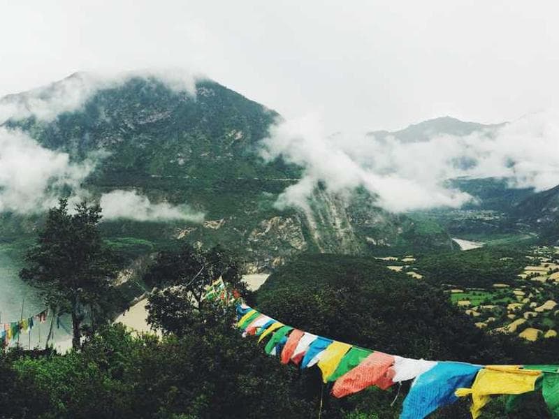 Delicioso Curry al Horno
