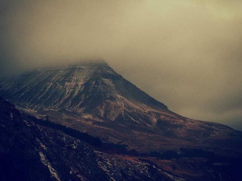 Rápido Frutas Salteado