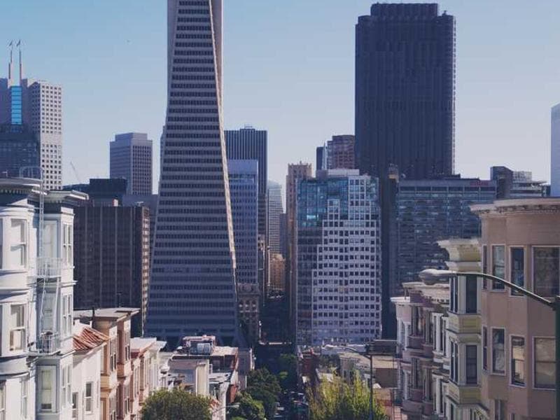 Gourmet Pescado con Ensalada