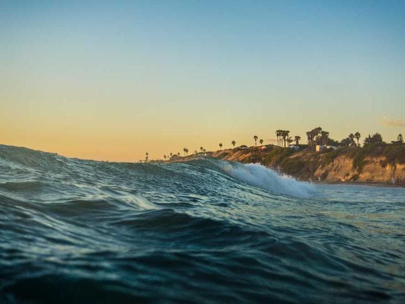 Gourmet Vegetales Supremo