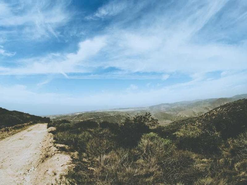Casero Pescado al Horno